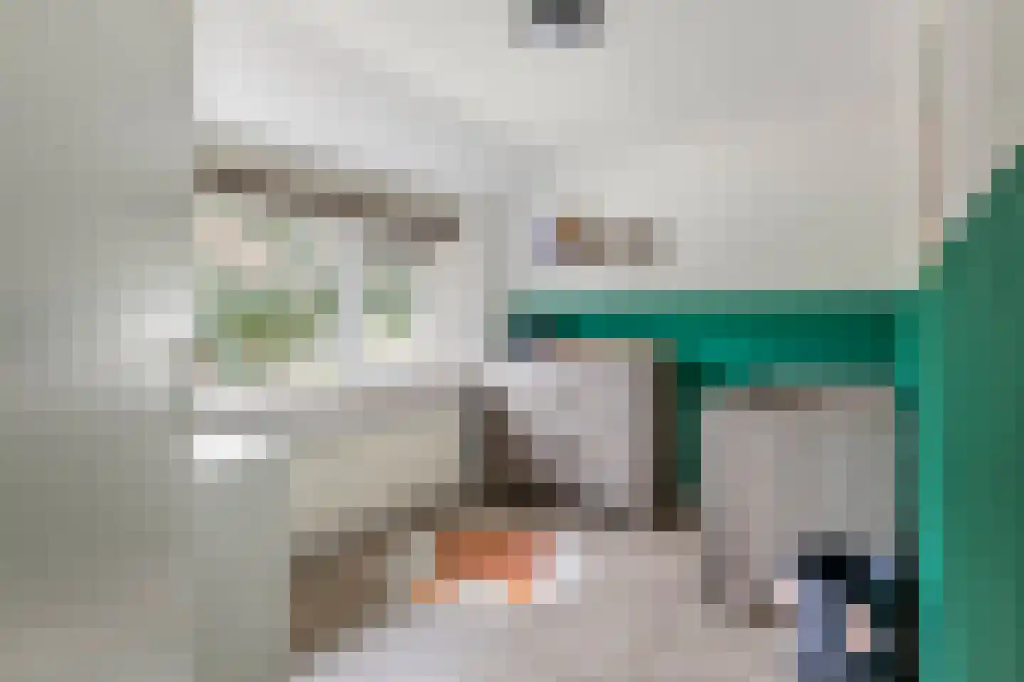 Nijverheidstraat 21 Geldermalsen thumbnail 28