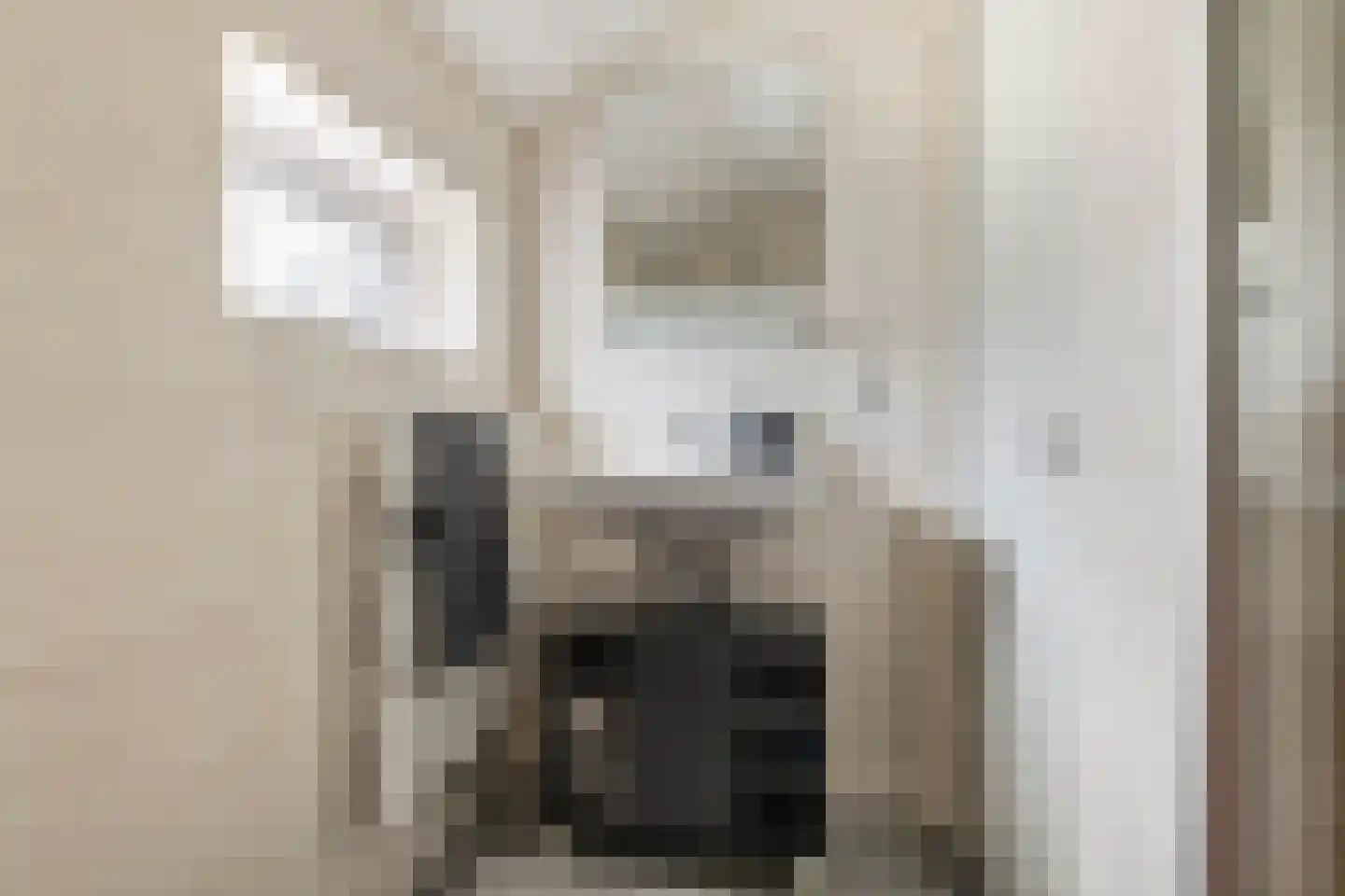 Nijverheidstraat 21 Geldermalsen thumbnail 33
