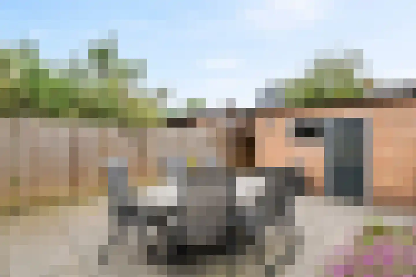 Nijverheidstraat 21 Geldermalsen thumbnail 34