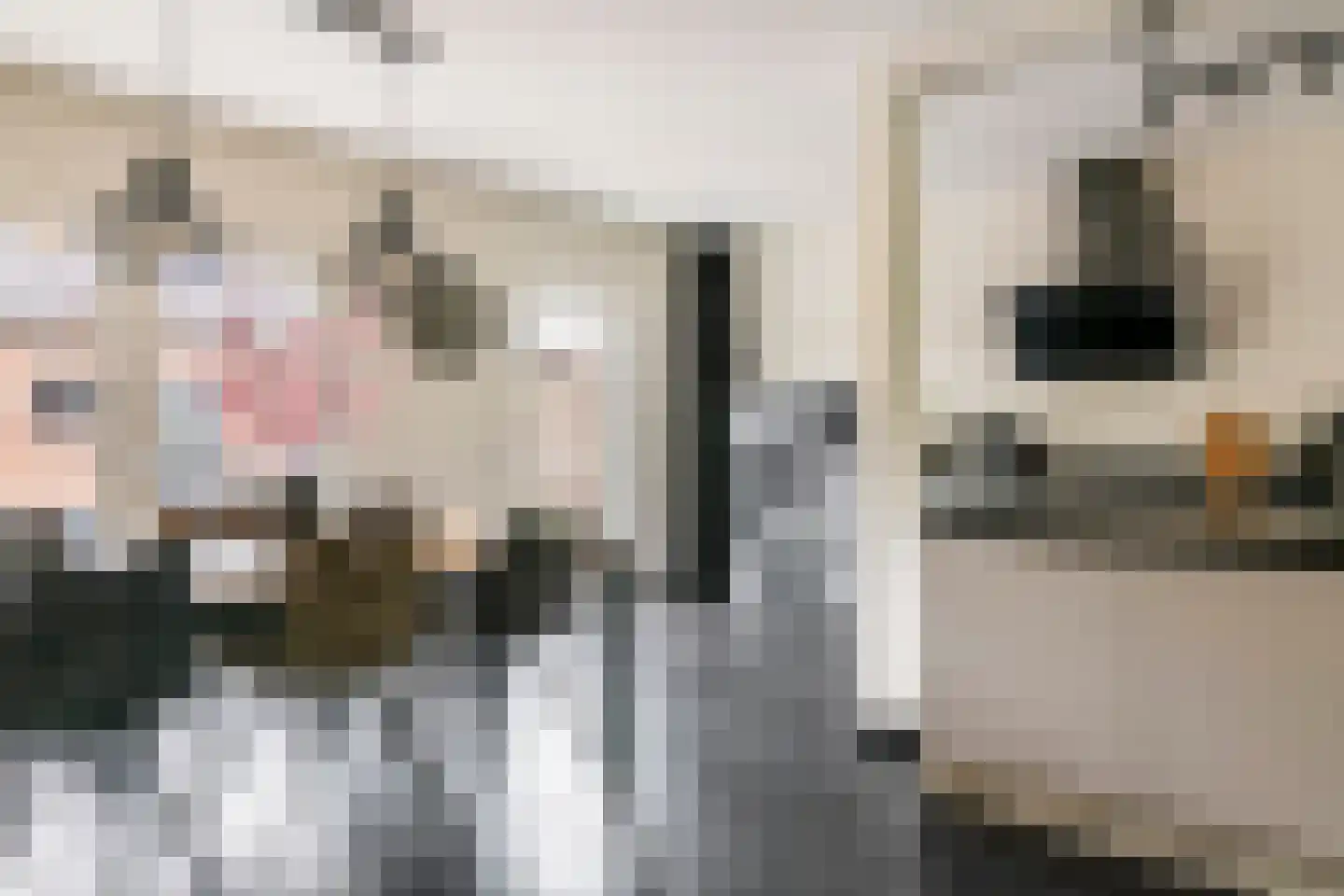 Nijverheidstraat 21 Geldermalsen thumbnail 7