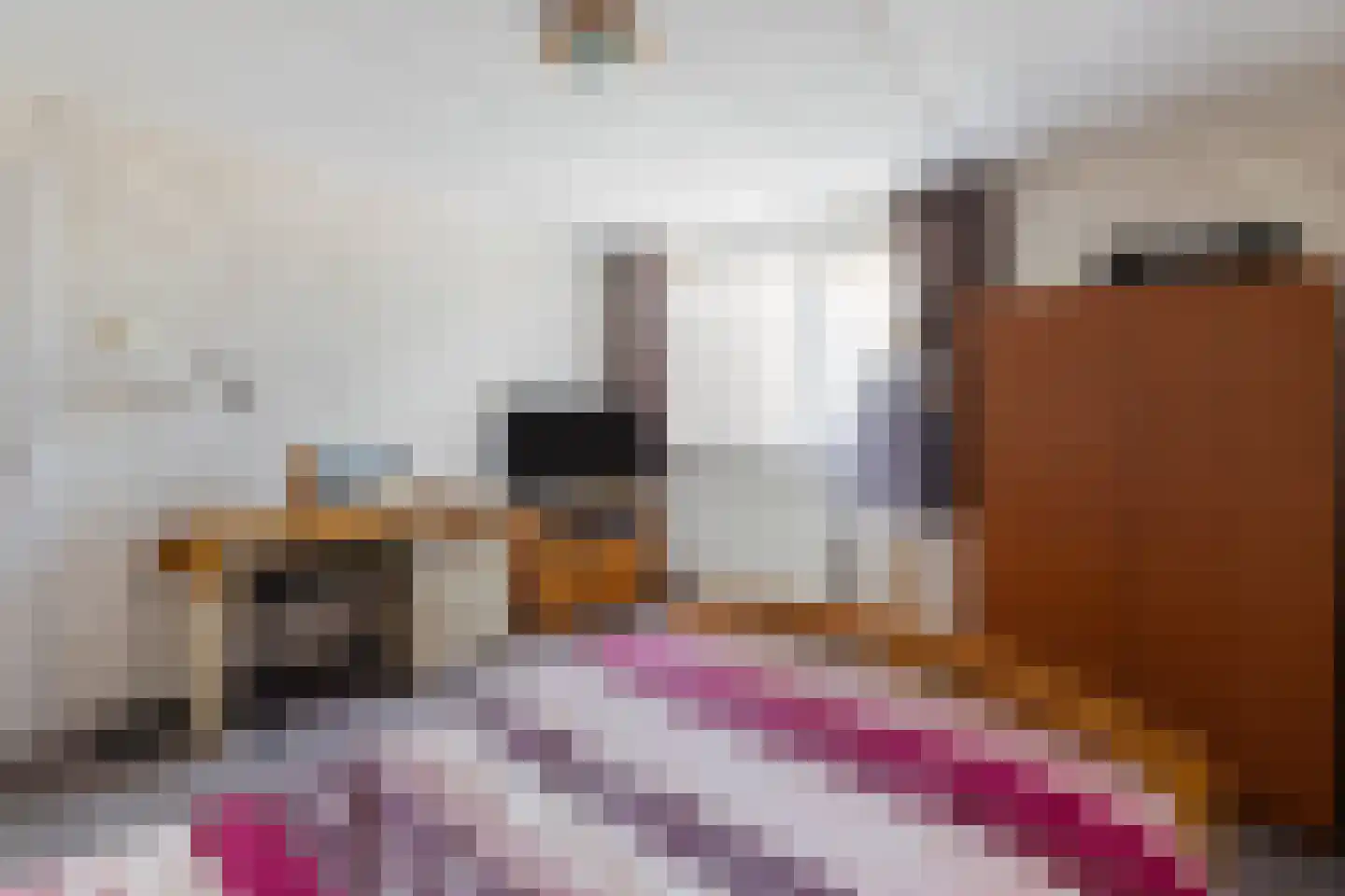 Nijverheidstraat 21 Lemelerveld thumbnail 12