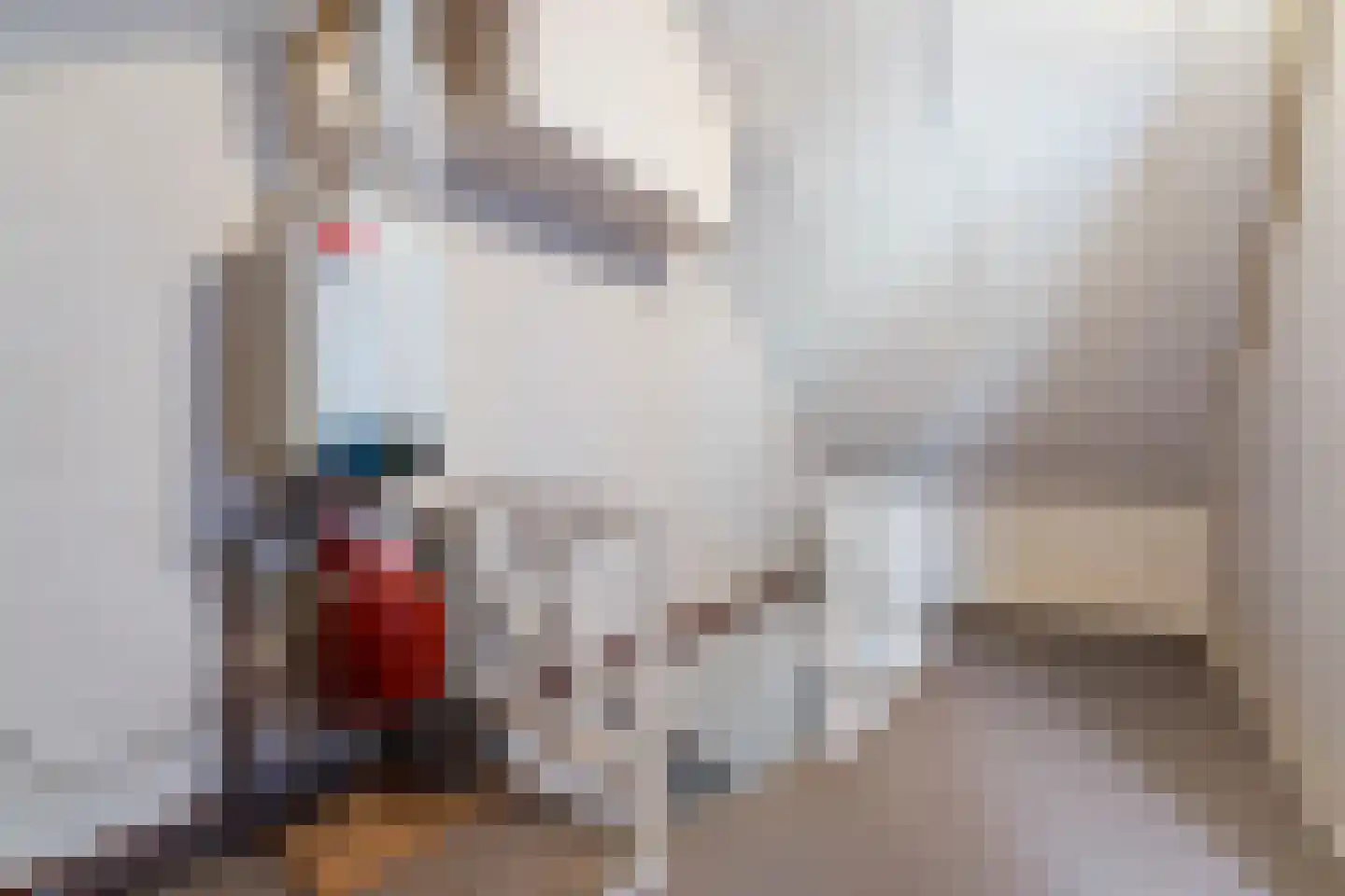 Nijverheidstraat 21 Lemelerveld thumbnail 17