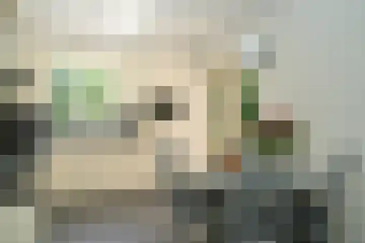 Nijverheidstraat 22 Geldermalsen thumbnail 10