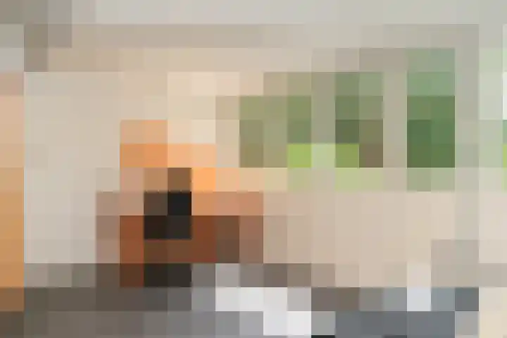 Nijverheidstraat 22 Geldermalsen thumbnail 17