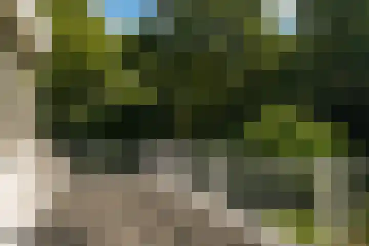 Nijverheidstraat 22 Geldermalsen thumbnail 19