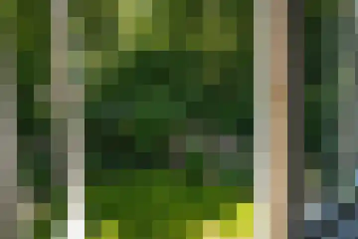 Nijverheidstraat 22 Geldermalsen thumbnail 22