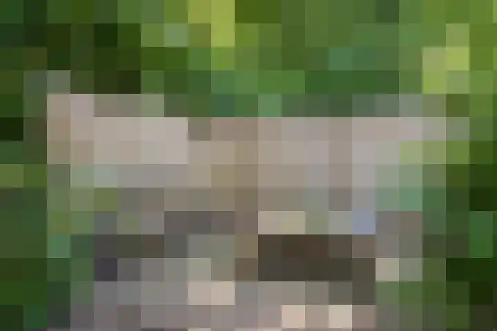 Nijverheidstraat 22 Geldermalsen thumbnail 24