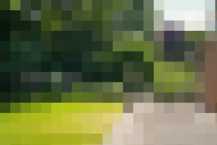 Nijverheidstraat 22 Geldermalsen thumbnail 26