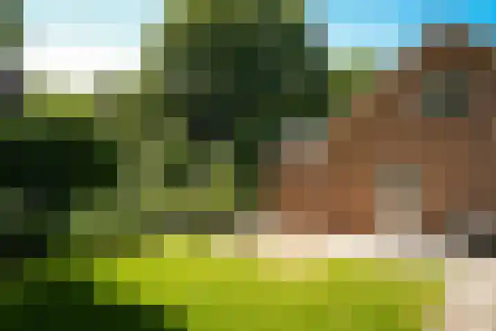 Nijverheidstraat 22 Geldermalsen thumbnail 27