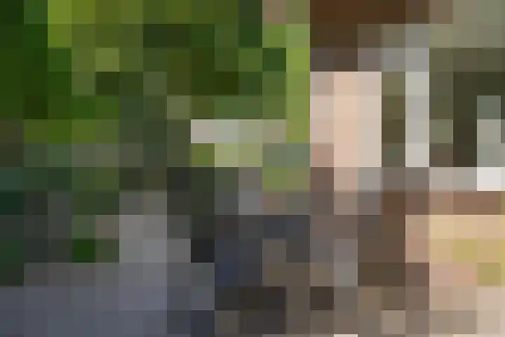 Nijverheidstraat 22 Geldermalsen thumbnail 28