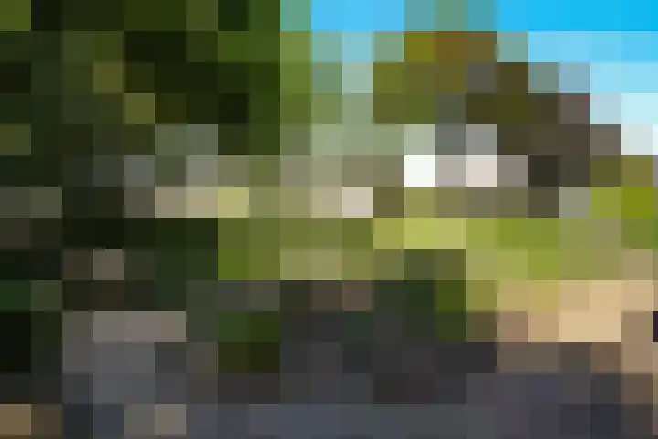 Nijverheidstraat 22 Geldermalsen thumbnail 31