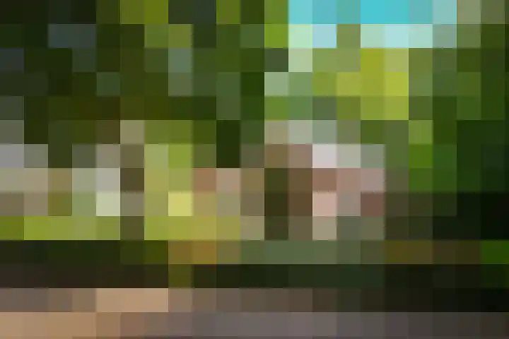 Nijverheidstraat 22 Geldermalsen thumbnail 32