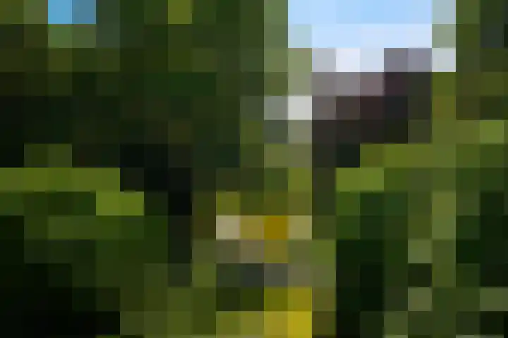 Nijverheidstraat 22 Geldermalsen thumbnail 33