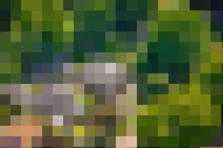 Nijverheidstraat 22 Geldermalsen thumbnail 4