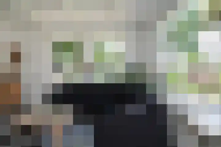 Nijverheidstraat 22 Geldermalsen thumbnail 6