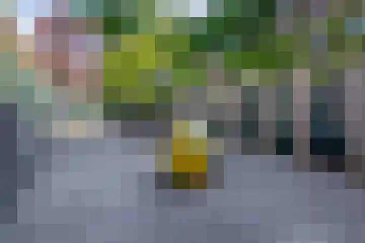 Nijverheidstraat 22 Rotterdam thumbnail 42