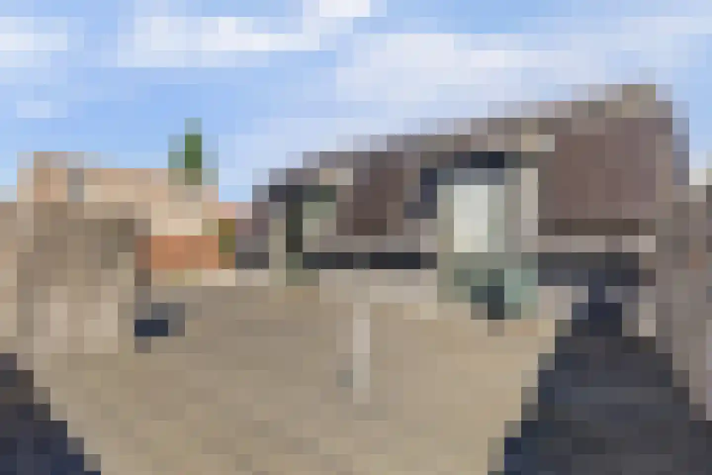 Nijverheidstraat 25 Apeldoorn thumbnail 35