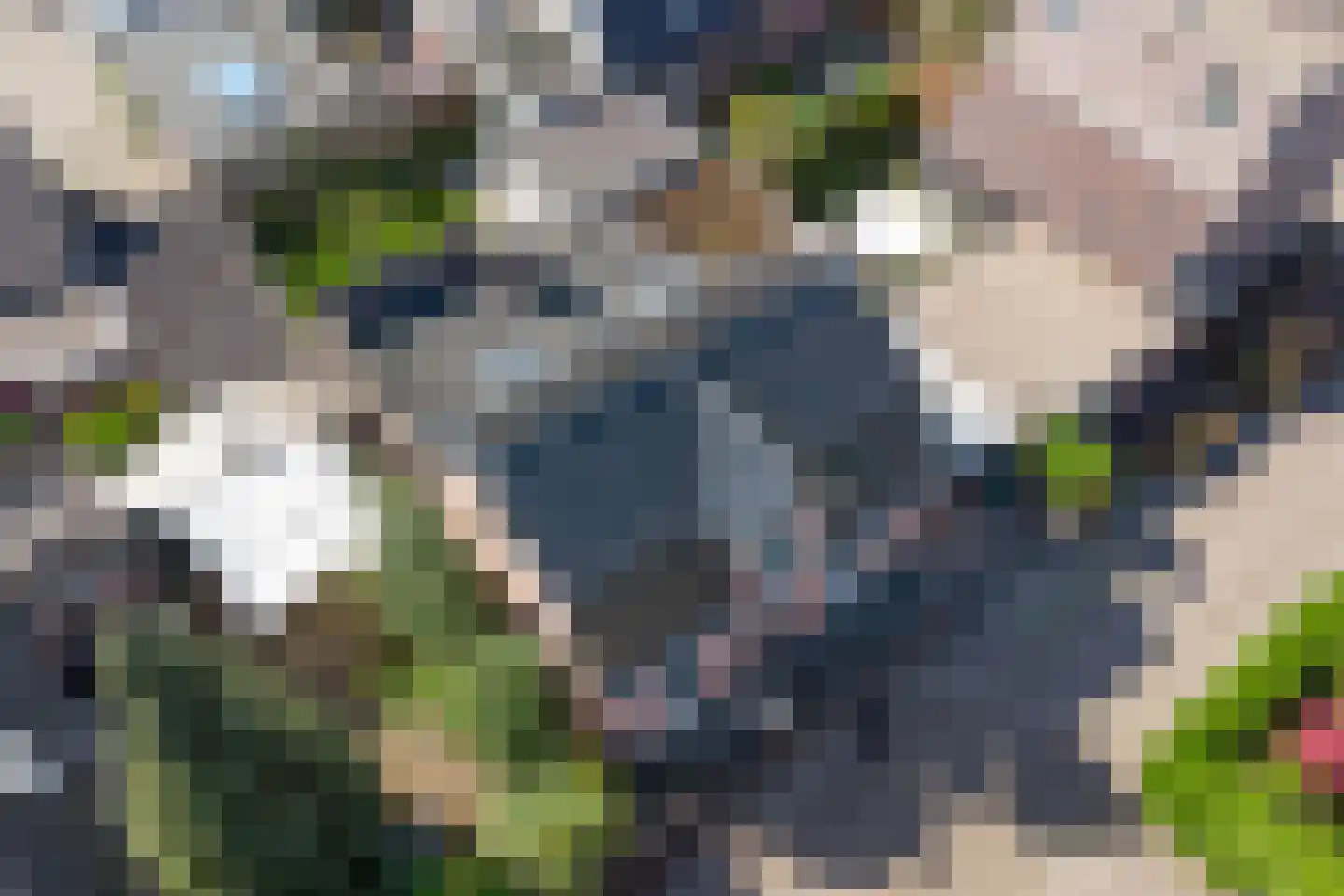 Nijverheidstraat 25 Apeldoorn thumbnail 39