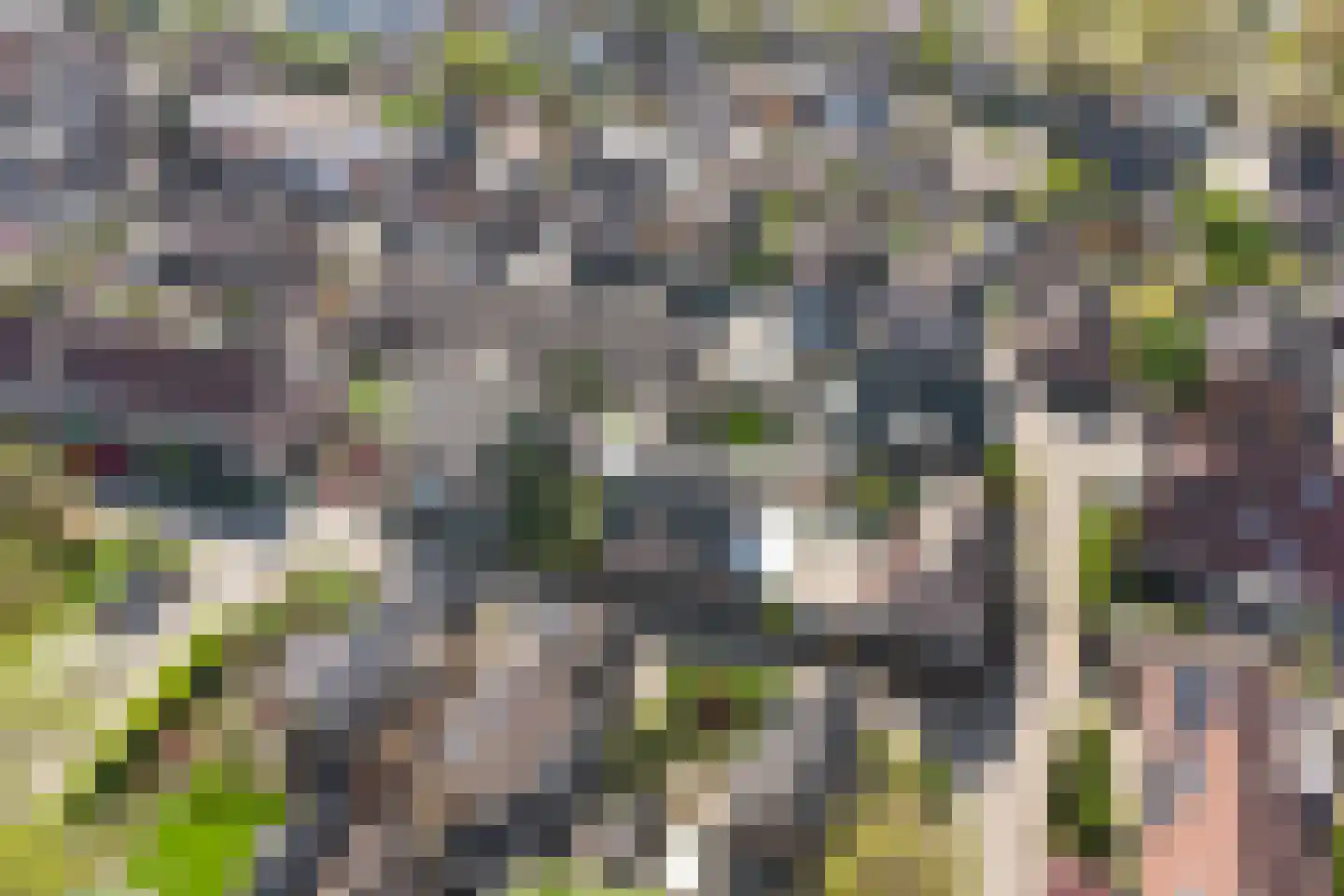 Nijverheidstraat 25 Apeldoorn thumbnail 6