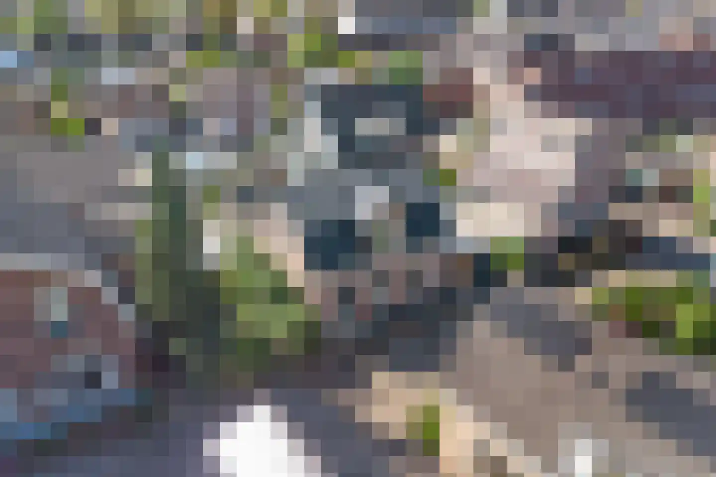 Nijverheidstraat 25 Apeldoorn thumbnail 7