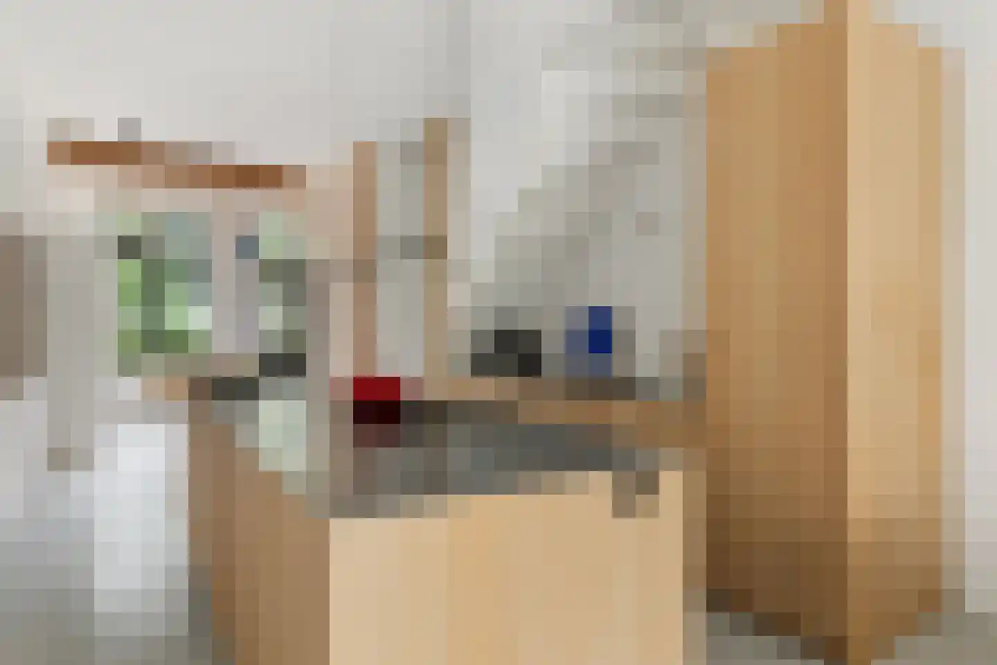 Nijverheidstraat 300 Rotterdam thumbnail 8