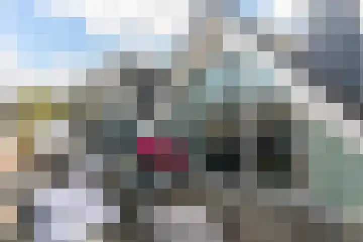 Nijverheidstraat 32 A Rotterdam thumbnail 4