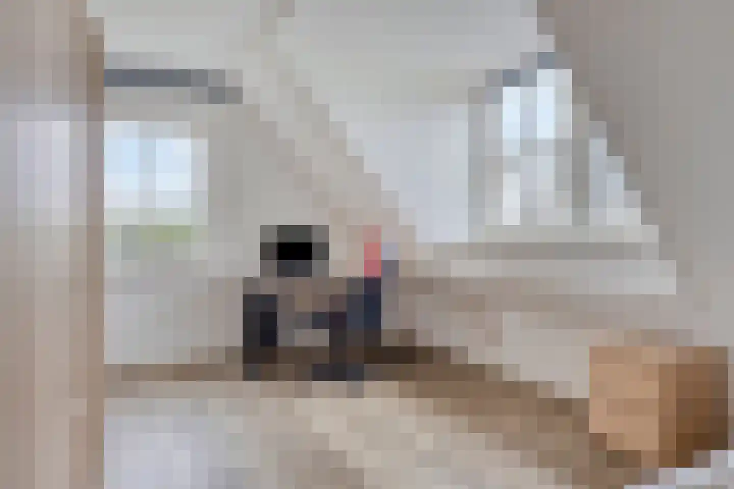 Nijverheidstraat 345 Capelle aan den IJssel thumbnail 36