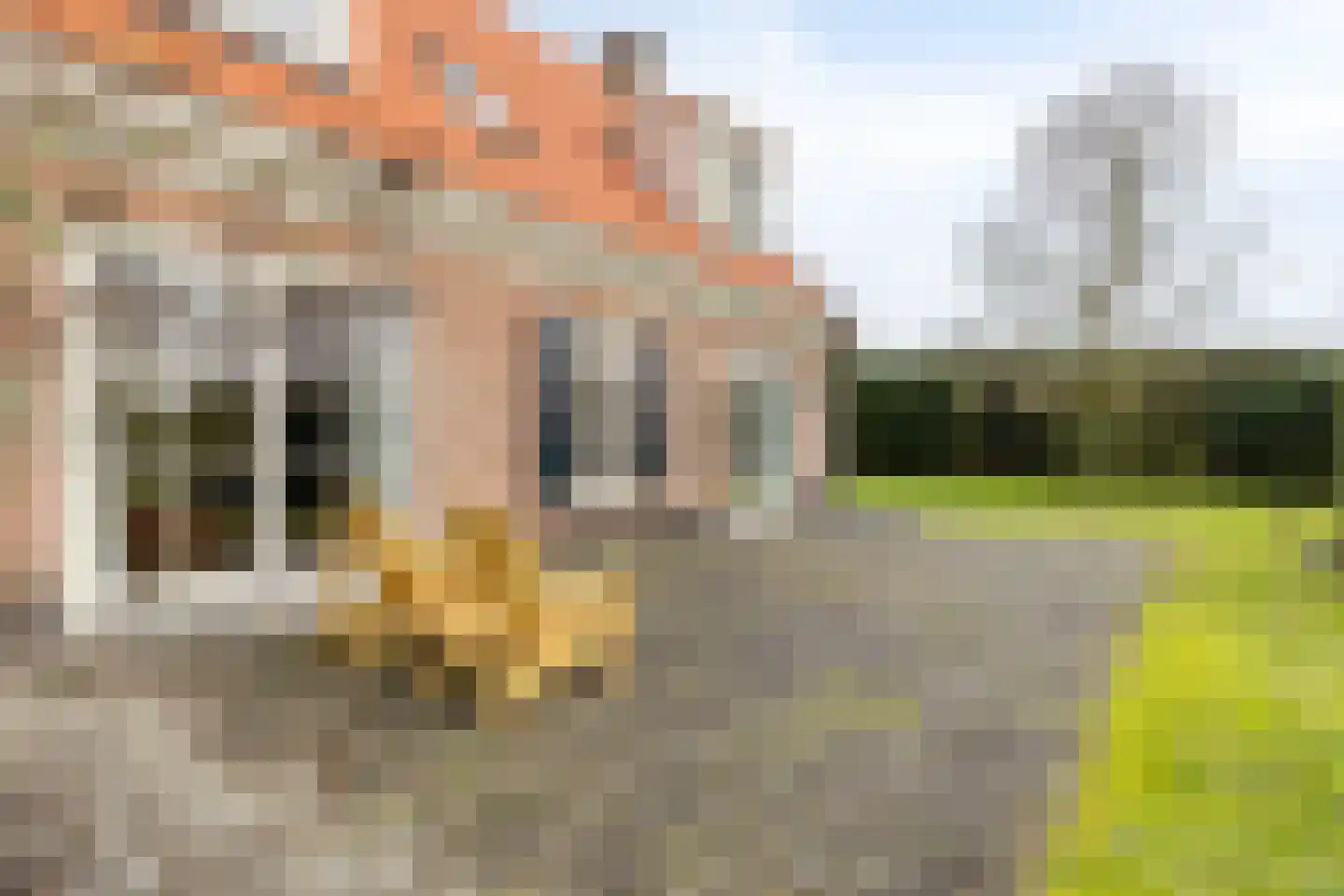 Nijverheidstraat 345 Capelle aan den IJssel thumbnail 42