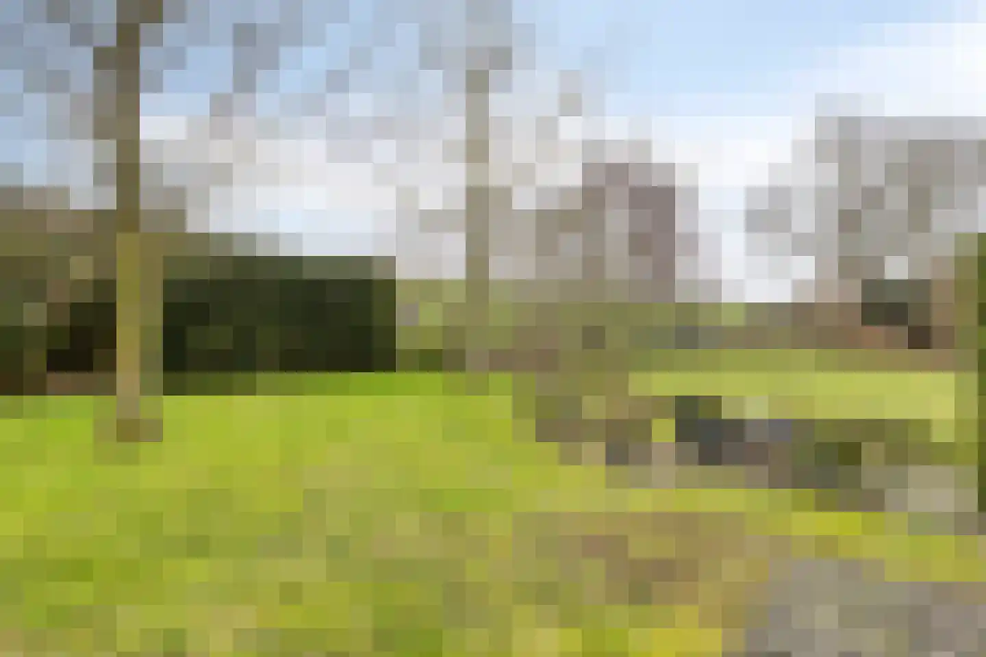 Nijverheidstraat 345 Capelle aan den IJssel thumbnail 43