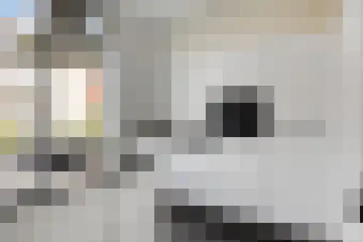 Nijverheidstraat 36 Rotterdam thumbnail 10