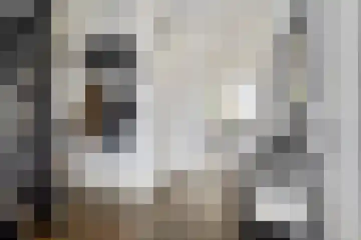 Nijverheidstraat 36 Rotterdam thumbnail 5