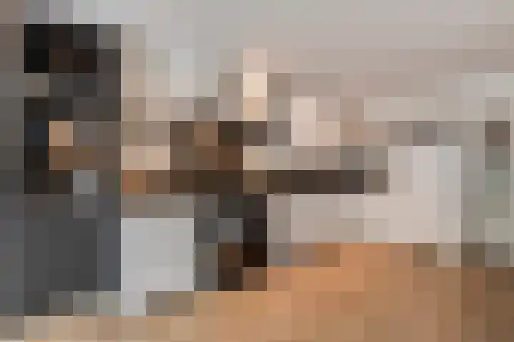 Nijverheidstraat 4 Geldermalsen thumbnail 17