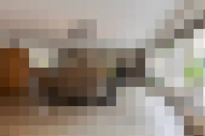 Nijverheidstraat 4 Geldermalsen thumbnail 18