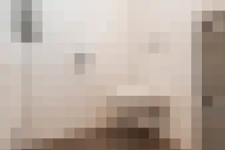 Nijverheidstraat 4 Geldermalsen thumbnail 22