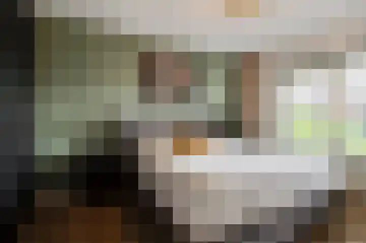 Nijverheidstraat 4 Geldermalsen thumbnail 27