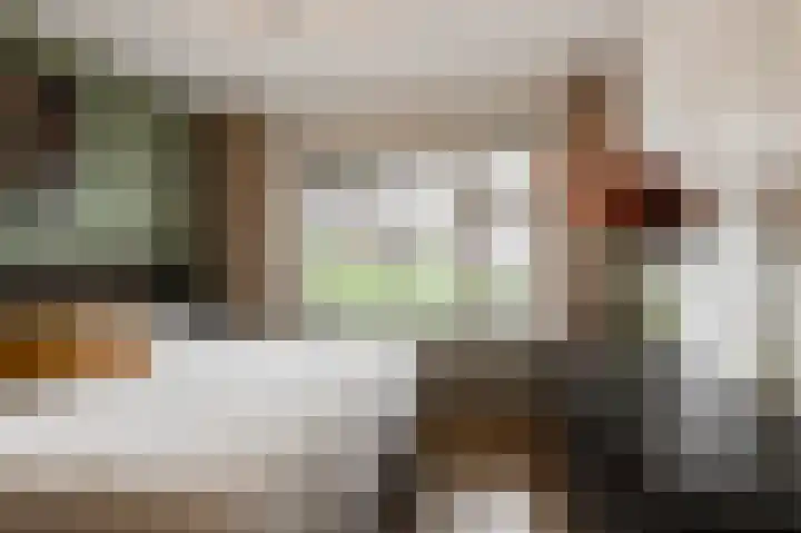 Nijverheidstraat 4 Geldermalsen thumbnail 28