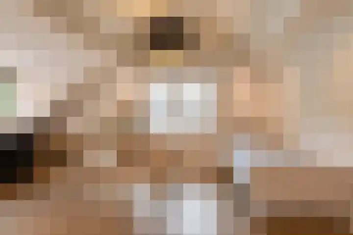 Nijverheidstraat 4 Geldermalsen thumbnail 30