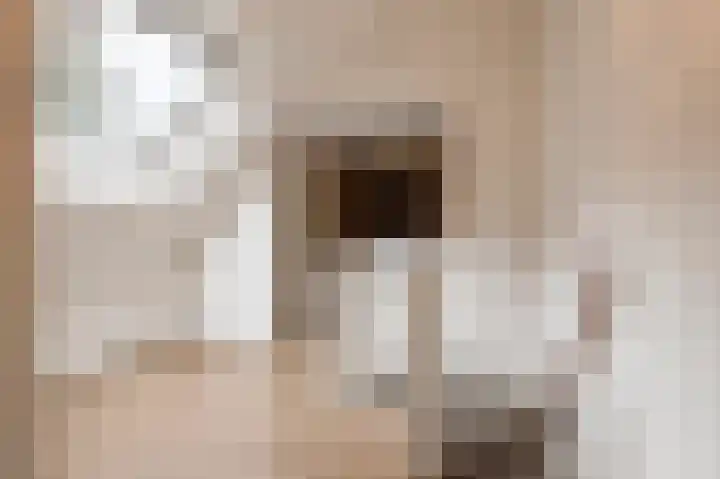 Nijverheidstraat 4 Geldermalsen thumbnail 32