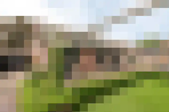 Nijverheidstraat 4 Geldermalsen thumbnail 40