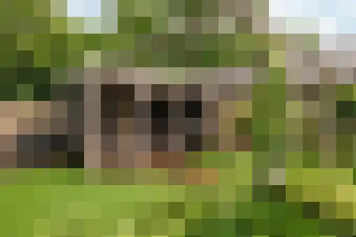 Nijverheidstraat 4 Geldermalsen thumbnail 41