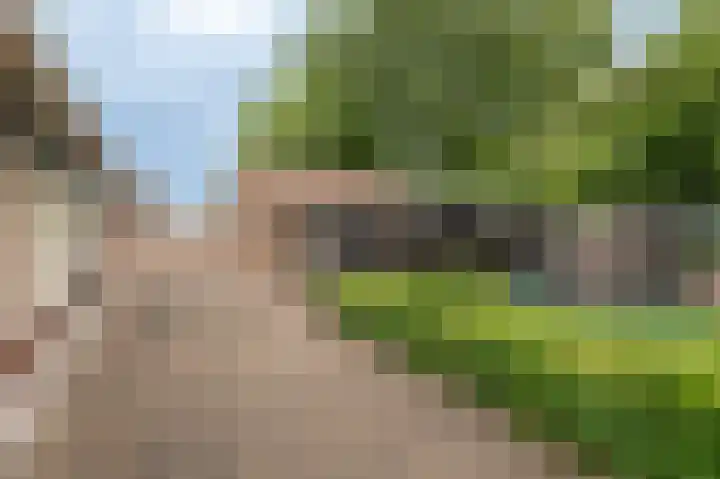 Nijverheidstraat 4 Geldermalsen thumbnail 42