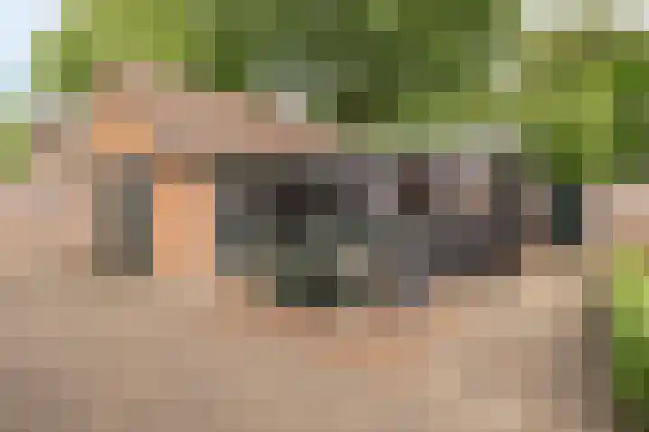 Nijverheidstraat 4 Geldermalsen thumbnail 43
