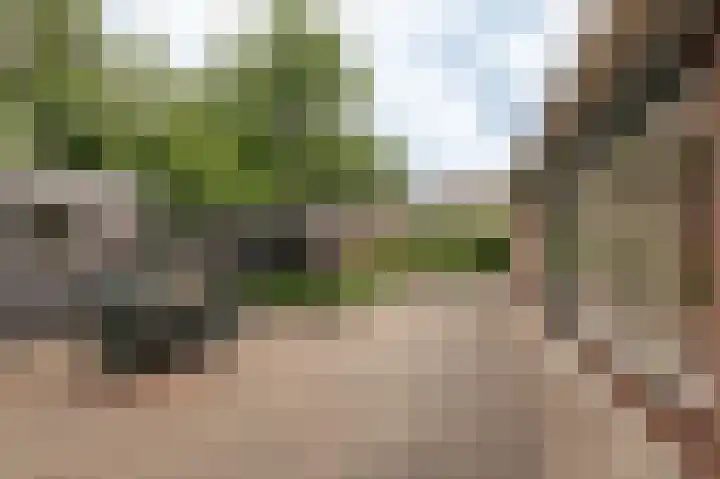 Nijverheidstraat 4 Geldermalsen thumbnail 44