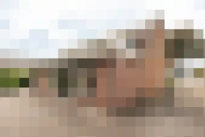 Nijverheidstraat 4 Geldermalsen thumbnail 45