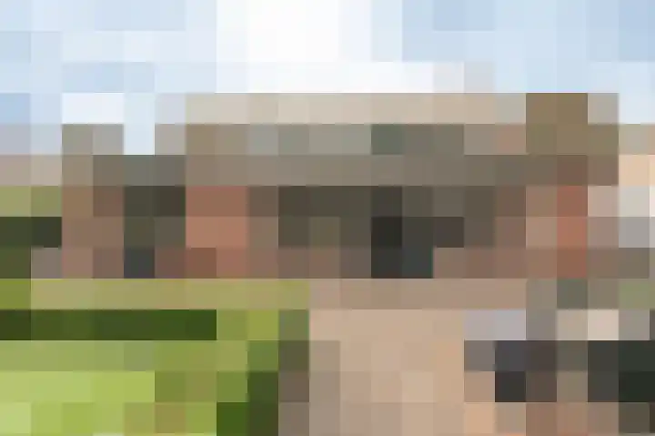 Nijverheidstraat 4 Geldermalsen thumbnail 46