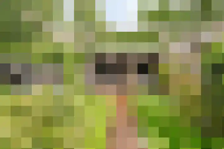 Nijverheidstraat 4 Geldermalsen thumbnail 47