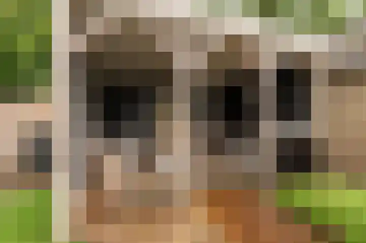 Nijverheidstraat 4 Geldermalsen thumbnail 48