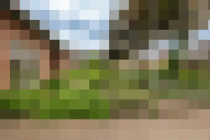 Nijverheidstraat 4 Geldermalsen thumbnail 6