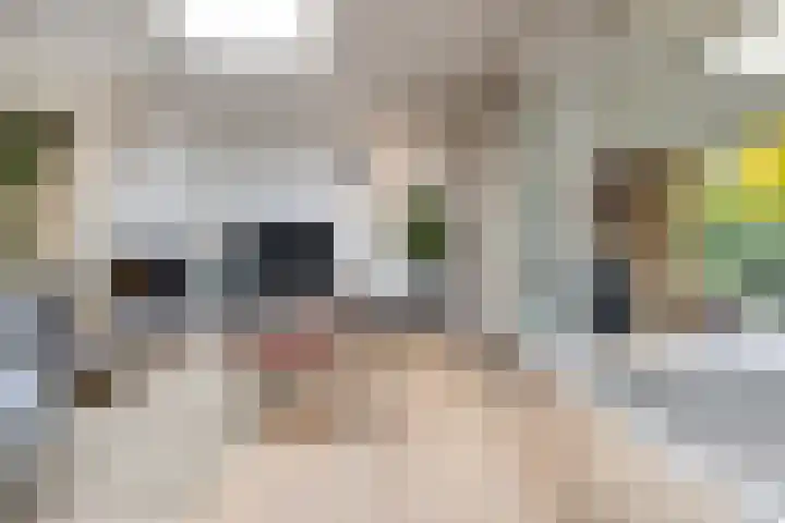 Nijverheidstraat 4 Gorssel thumbnail 12