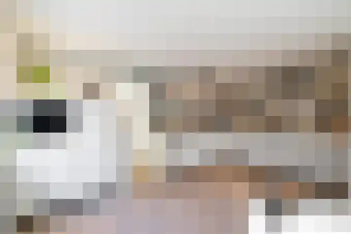 Nijverheidstraat 4 Gorssel thumbnail 23